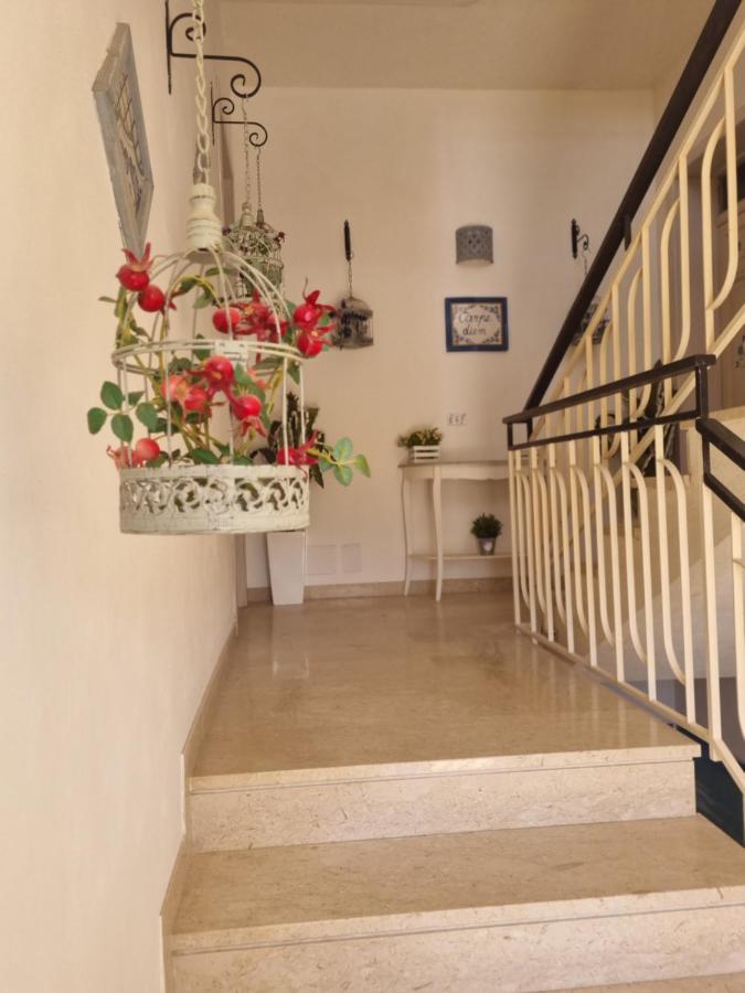Appartamenti Stella Marina San Vito Lo Capo Zewnętrze zdjęcie